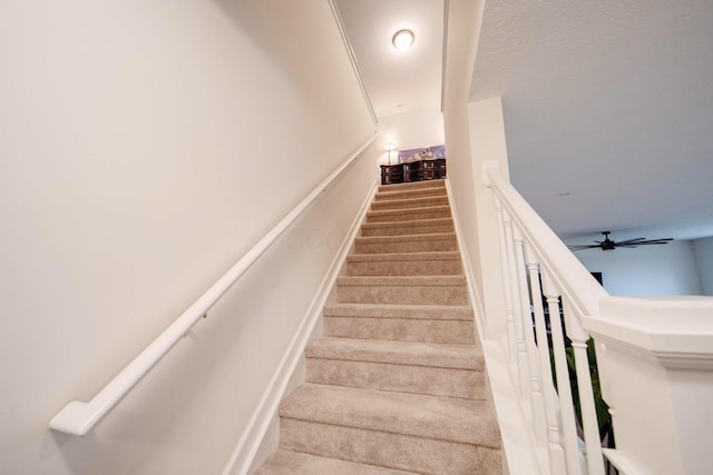 stairway with carpet floors and ceiling fan