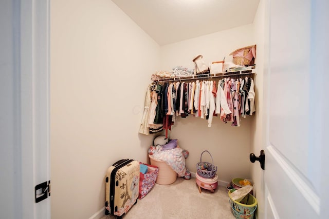 spacious closet featuring carpet flooring