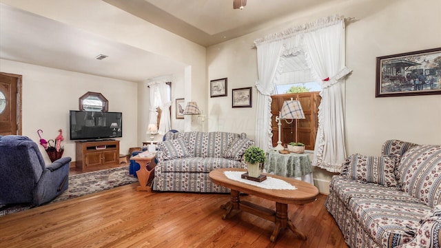 living room featuring wood-type flooring