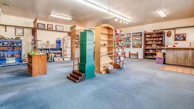 basement with carpet