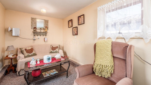 sitting room with carpet flooring