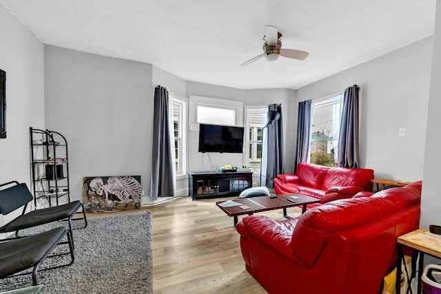 living room with ceiling fan and light hardwood / wood-style flooring