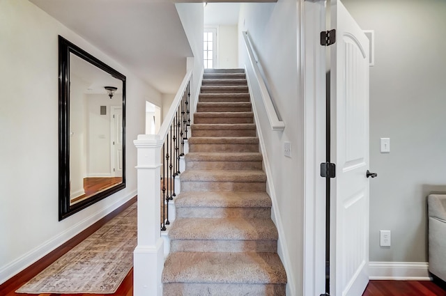 staircase with hardwood / wood-style floors