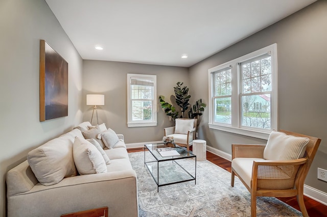 living room featuring a wealth of natural light and wood-type flooring