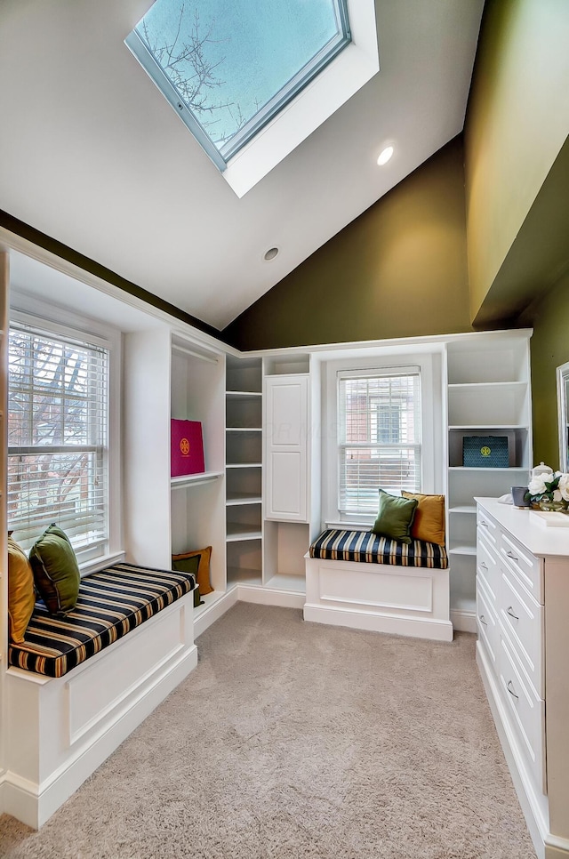 bedroom featuring light colored carpet, a skylight, and multiple windows