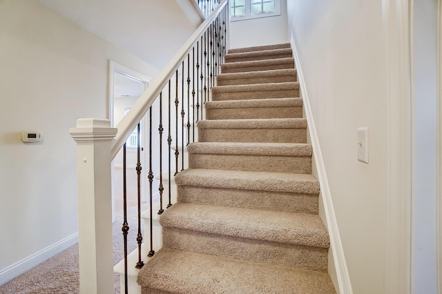 staircase featuring carpet