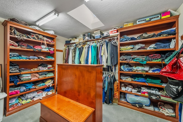 spacious closet featuring light colored carpet