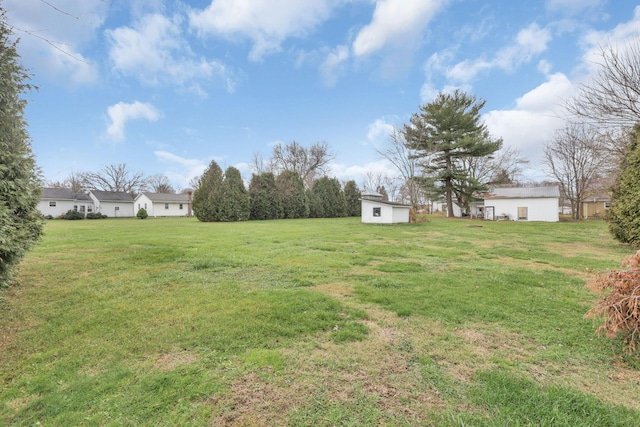 view of yard featuring a shed