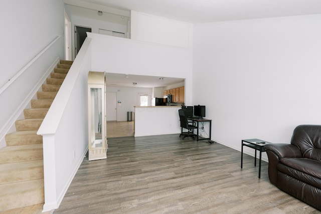 living room featuring wood-type flooring