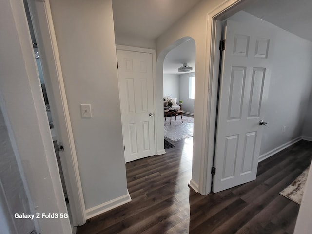 hall featuring dark hardwood / wood-style flooring