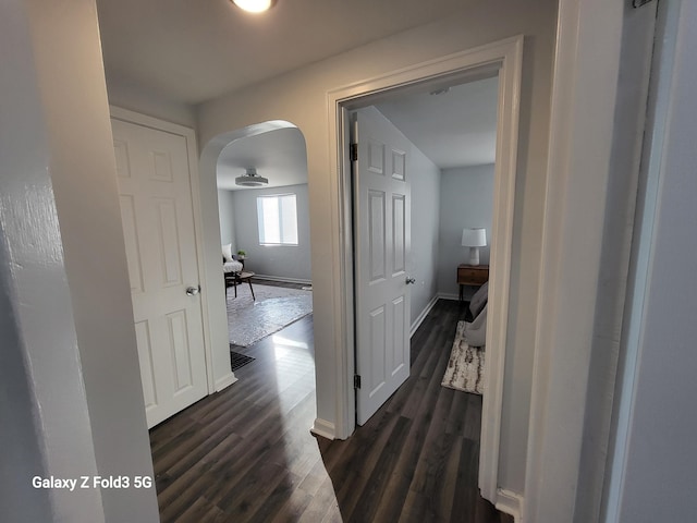 hall featuring dark hardwood / wood-style floors