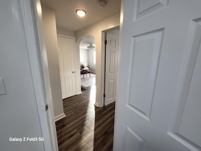 hall with dark hardwood / wood-style floors