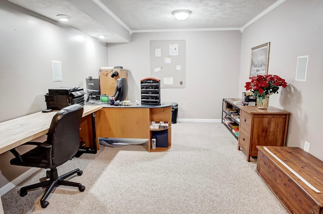 carpeted office space featuring crown molding and a textured ceiling