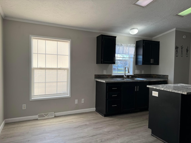 kitchen with crown molding, light hardwood / wood-style floors, sink, and a textured ceiling