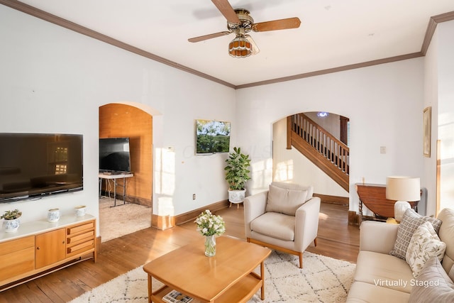 living room with ceiling fan, light hardwood / wood-style flooring, and crown molding