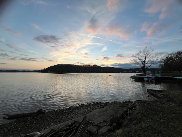 property view of water with a dock