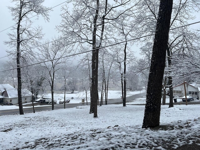 view of snowy yard