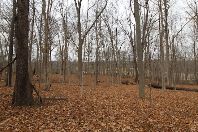 view of local wilderness