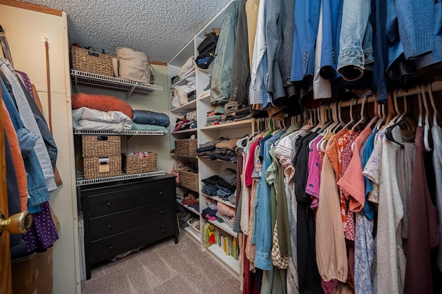 spacious closet featuring light carpet