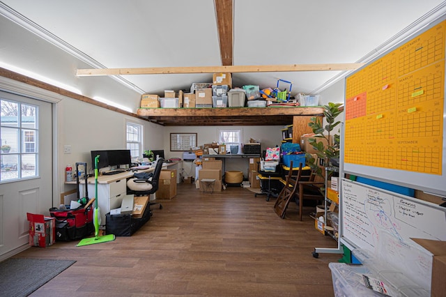 interior space featuring ornamental molding, hardwood / wood-style flooring, and a healthy amount of sunlight