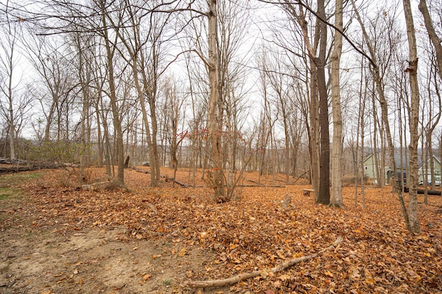 view of local wilderness