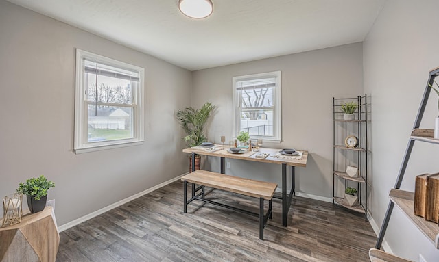 office featuring a wealth of natural light and dark hardwood / wood-style floors