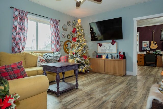 living room with ceiling fan and wood-type flooring