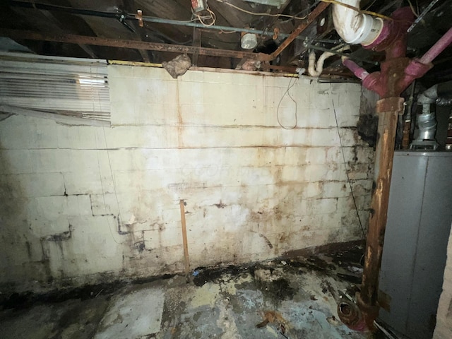 basement with water heater