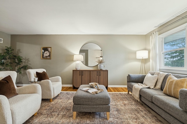 living room with dark hardwood / wood-style floors