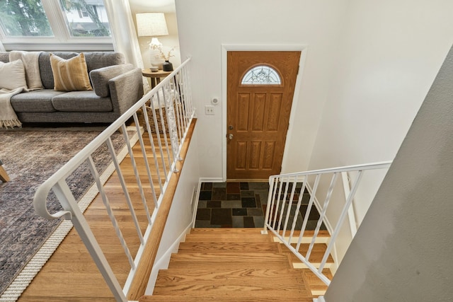 interior space featuring hardwood / wood-style flooring and plenty of natural light