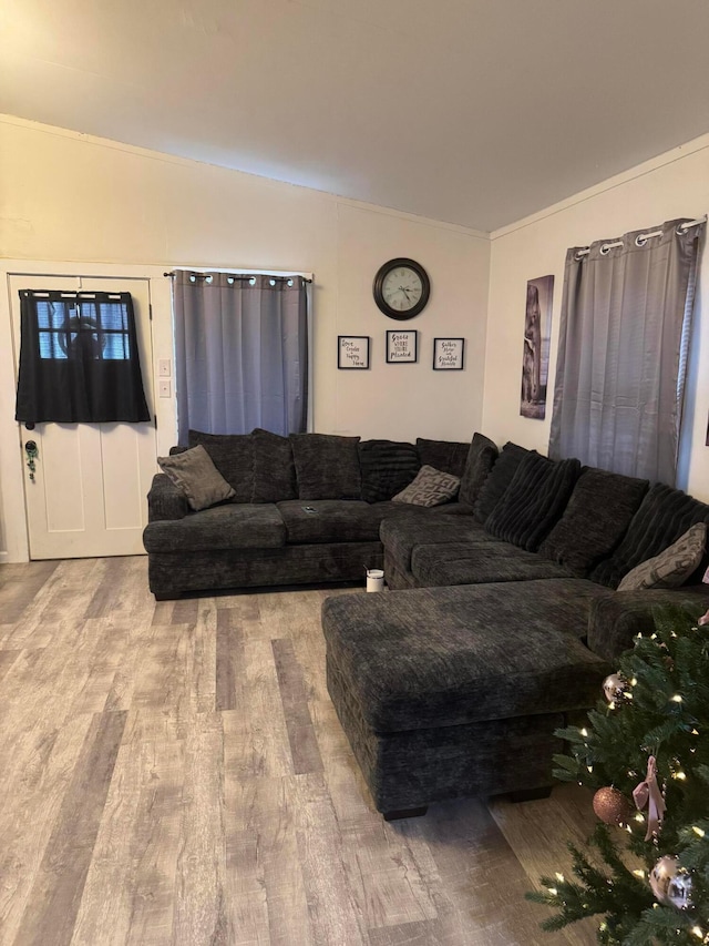 living room featuring light hardwood / wood-style floors and ornamental molding