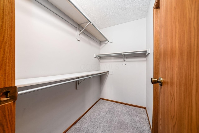 walk in closet featuring light carpet