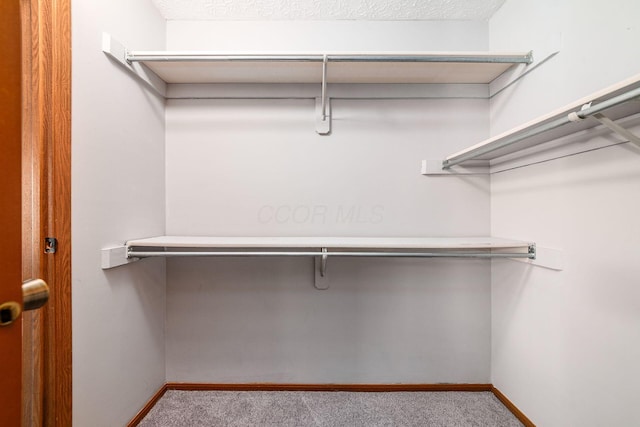 spacious closet with light colored carpet