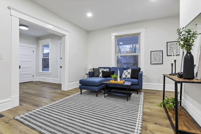 living room with wood-type flooring