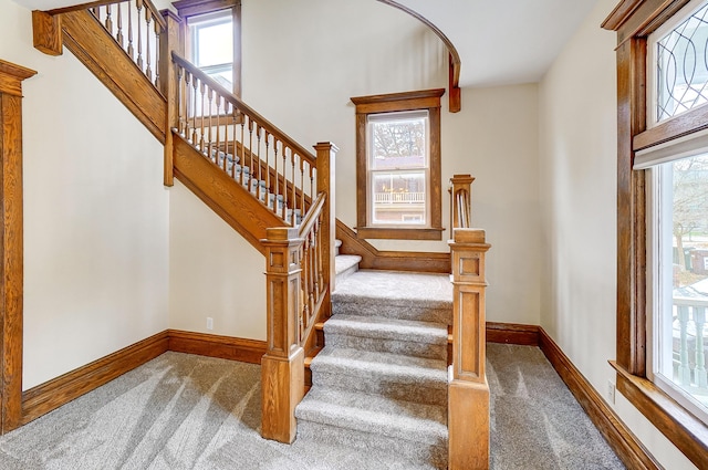 staircase featuring carpet floors