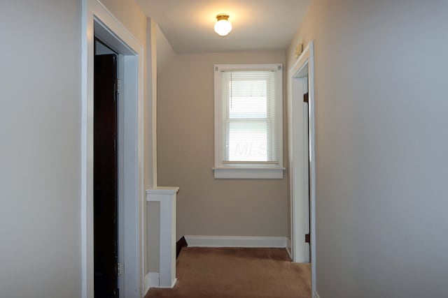 corridor featuring carpet flooring