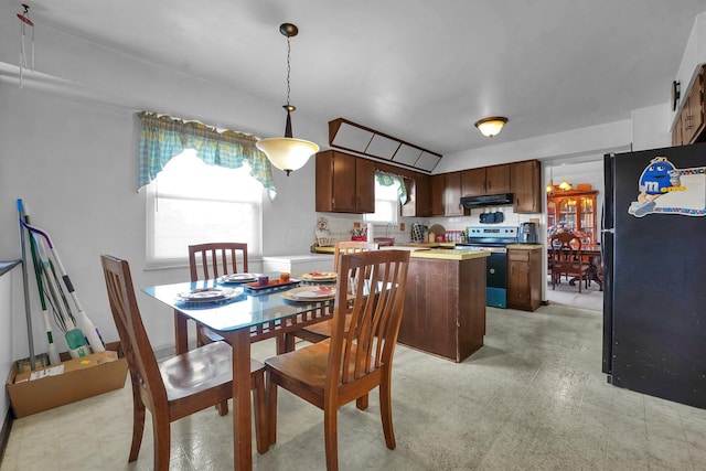 dining room featuring a healthy amount of sunlight