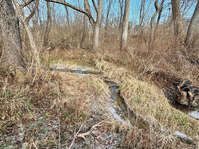 view of landscape