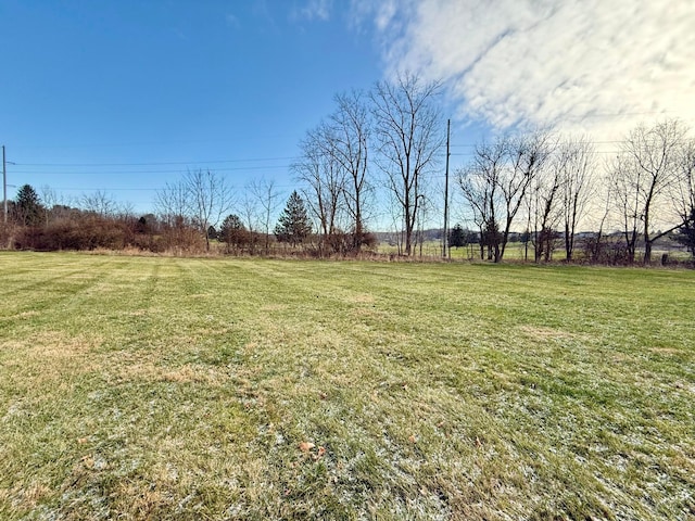 view of yard with a rural view