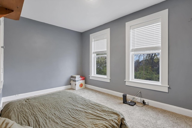 bedroom featuring carpet flooring