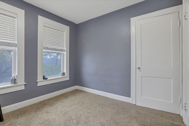 carpeted empty room featuring a healthy amount of sunlight