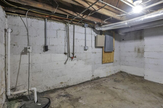 basement featuring electric panel