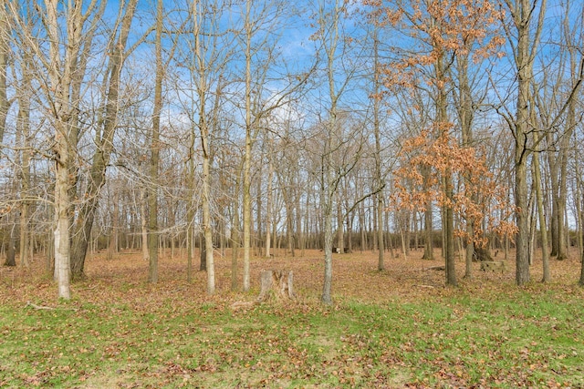 view of local wilderness