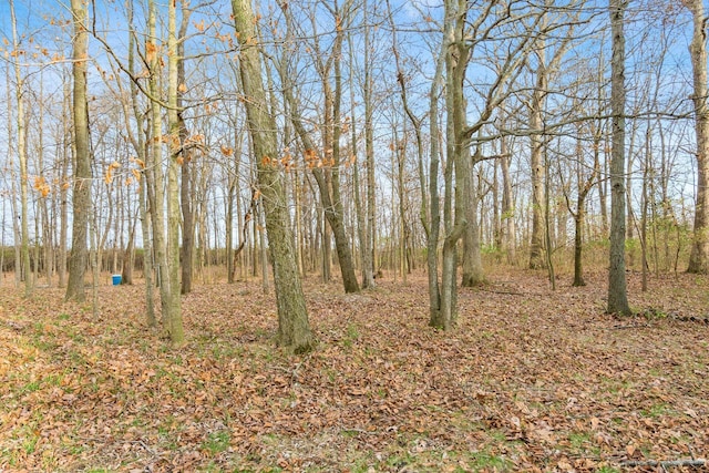 view of landscape