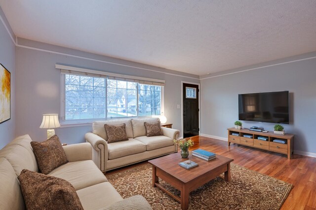 living room with hardwood / wood-style flooring and a textured ceiling