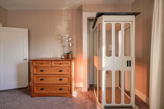 room details with carpet floors and a textured ceiling