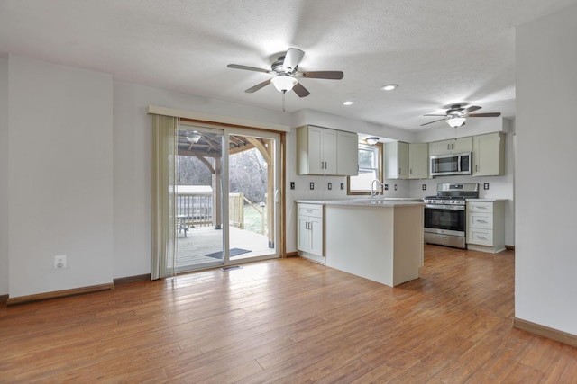 kitchen with light wood-type flooring, stainless steel appliances, and a wealth of natural light