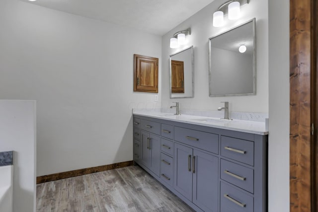 bathroom with wood-type flooring and vanity