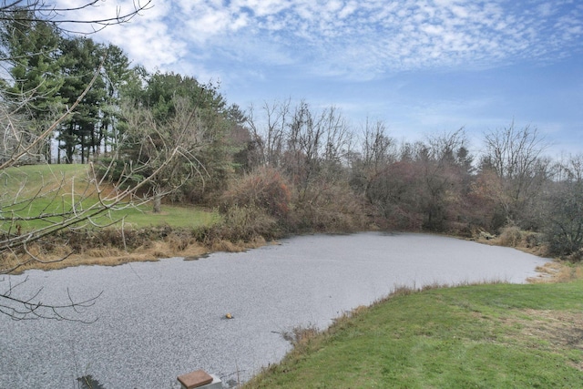 view of water feature