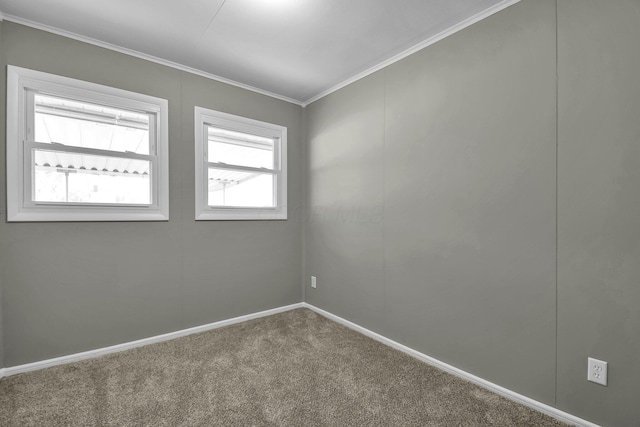 carpeted empty room featuring crown molding